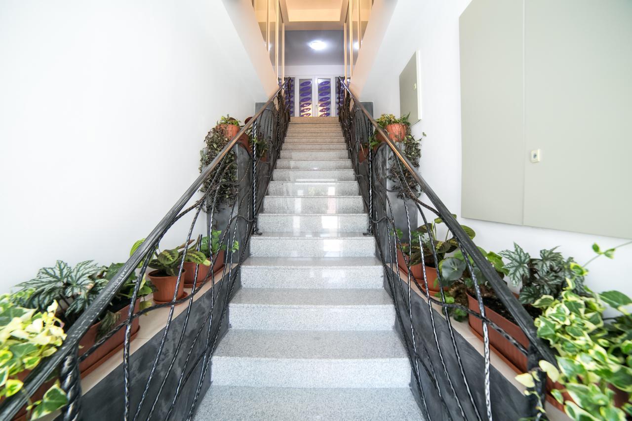 Cazare Moldi - Regim Hotelier Câmpulung Moldovenesc Extérieur photo